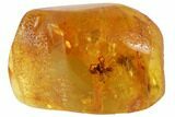 Detailed Fossil Spider, Springtail And Fly In Baltic Amber #102776-1